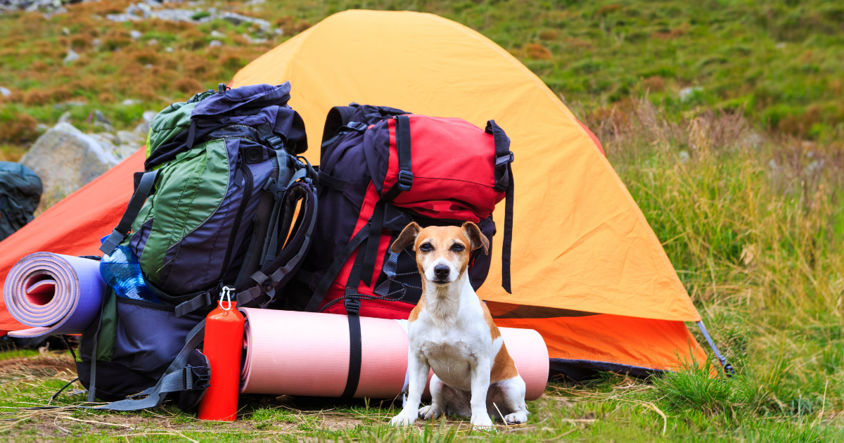 Camping Gear Storage: How To Store Camping Gear In A Storage Unit