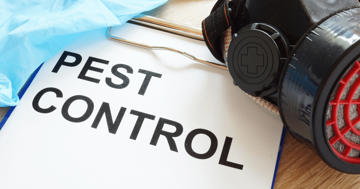 Storage Unit Pest Control: How to keep pests out of your storage unit