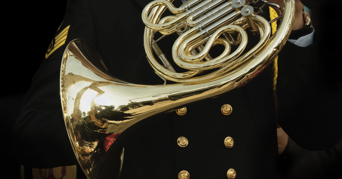 Climate-controlled storage: What are the requirements for optimum musical instrument storage?