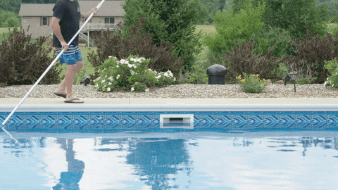 Pro Pool Care: Top Pool Cleaning & Maintenance Tips