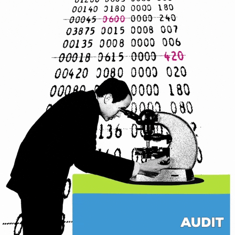 auditing financial reports